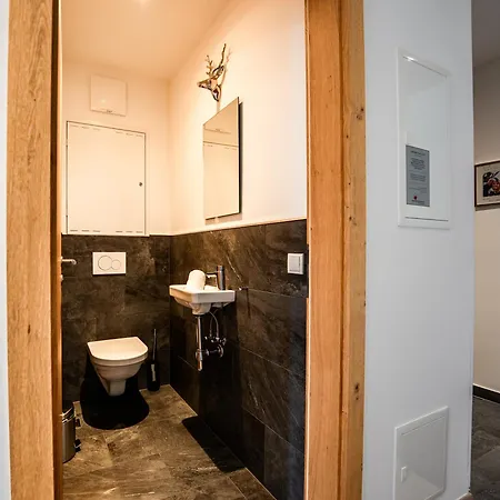 Schoenblick - Incl Summer And Mobility Card Appartement *